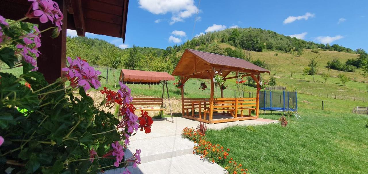 Pensiunea Apuseni Vidra  Exterior foto