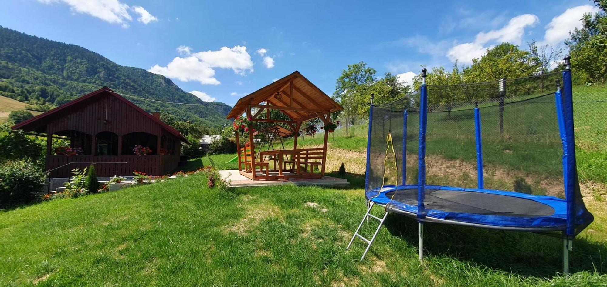 Pensiunea Apuseni Vidra  Exterior foto