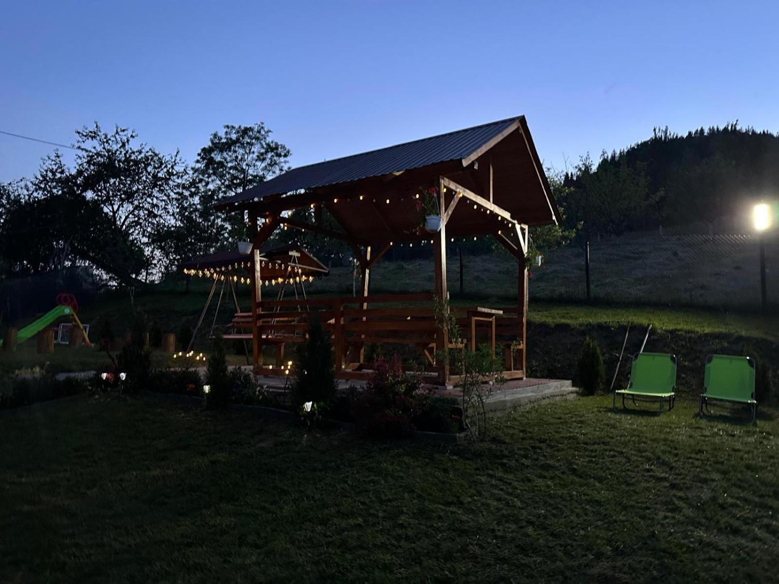 Pensiunea Apuseni Vidra  Exterior foto