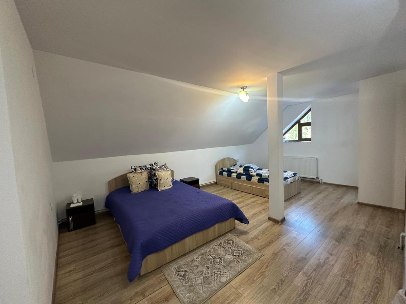Pensiunea Apuseni Vidra  Exterior foto