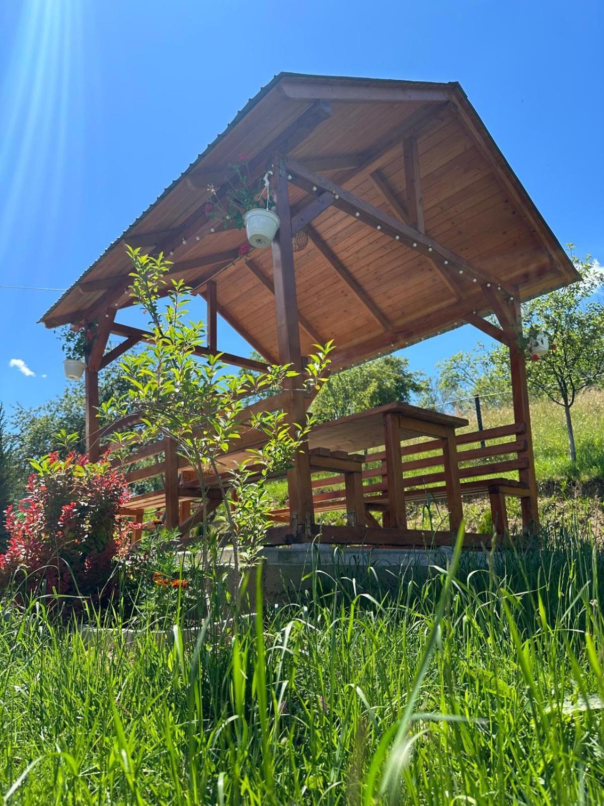 Pensiunea Apuseni Vidra  Exterior foto